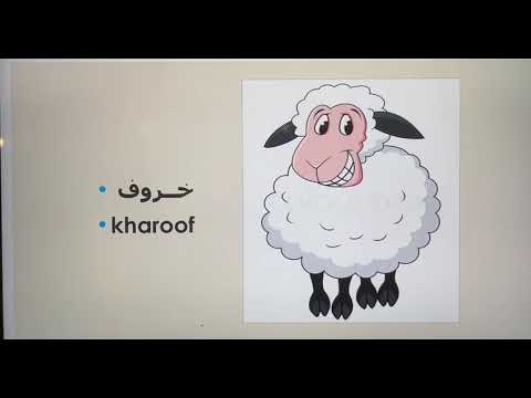 Learn Arabic. part 1. arshia arshad