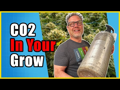 Easy Ways Cannabis Growers Add CO2 to Their Gardens