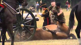 Horse injury cancels Queen&#39;s 41-gun salute