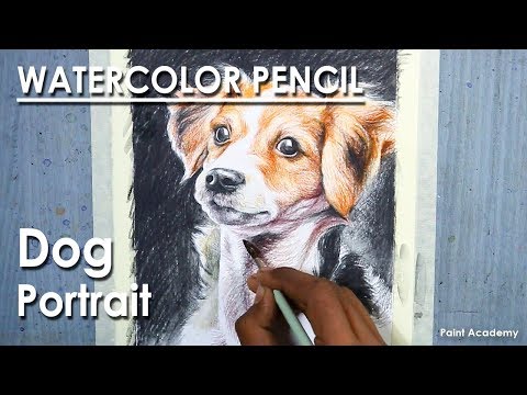 Watercolor Pencil Drawing Dog Portrait | How to Shade