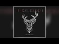 Tribal Blood If Looks Could Kill Official Audio