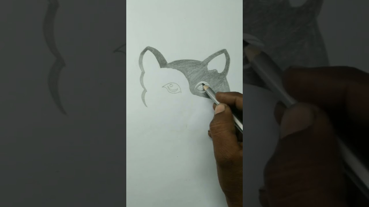 cute cat painting design #new clipart design #cat image drawing #painting #design #drawing 🙀