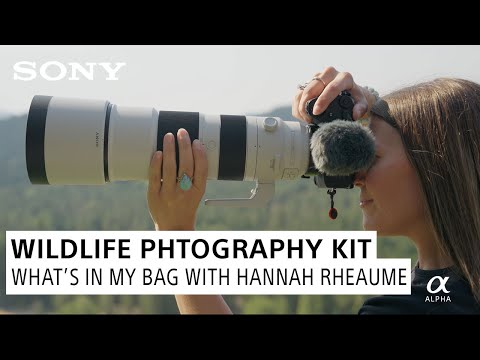 Pro Wildlife Photographer's Go-To Gear | What's In My Bag with Hannah Rheaume