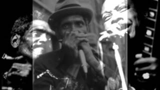 Big Walter Horton-Little Boy Blue