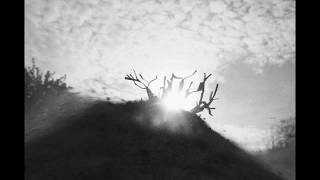 L' ARBRE (S) - Court-Métrage - 4K