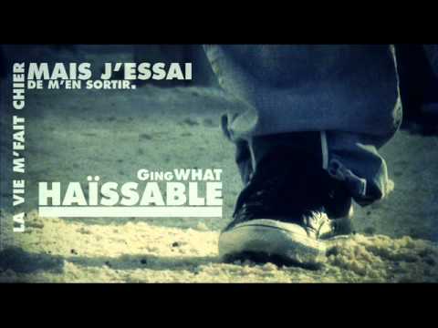 gingwhat   Haiisable