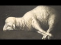 J.S. Bach Agnus Dei, Mass in B minor. 