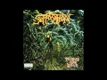Suffocation - Pierced From Within (HQ) 