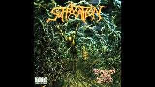 Suffocation - Pierced From Within (HQ)