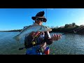 Simple bait, deadly results! Stealth fishing shallow water (catch & clean)
