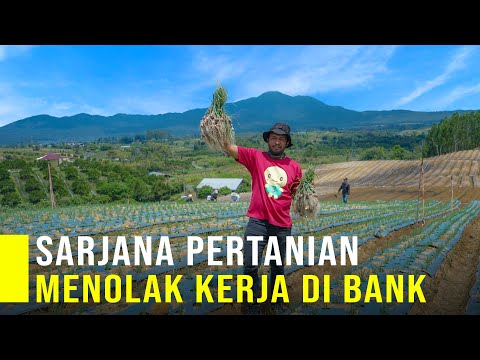 , title : 'Sarjana Pertanian Jadi Petani Bawang Dan Menolak Kerja Di Bank'