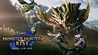 【MH RISE 実況】 お手伝い(してください)配信　マルチで遊びましょう♪