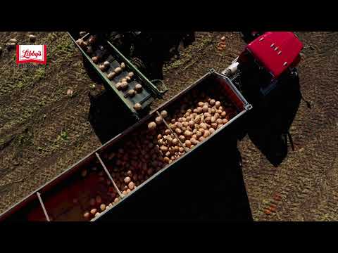 LIBBY’S®️ Pumpkin Sows the Seeds of Sustainability | Nestlé Professional Solutions