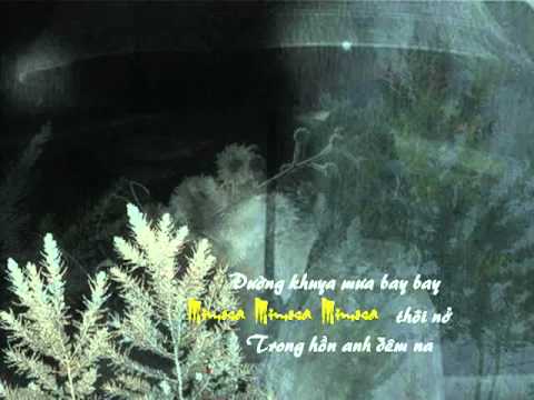 Mimosa thôi nở - Duy Quang