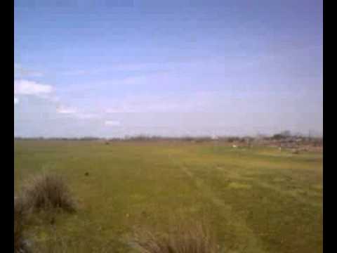 1 mai C.A.Rosetti jud Tl