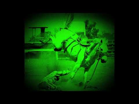 Quai - Flex Macam Ni