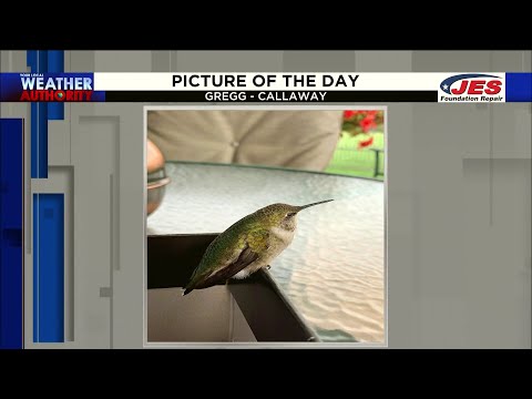 October 6, 2020 Picture of the Day