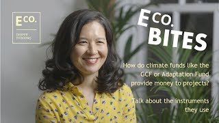 E Co. bites: How do climate funds provide money to projects? What instruments do they commonly use?