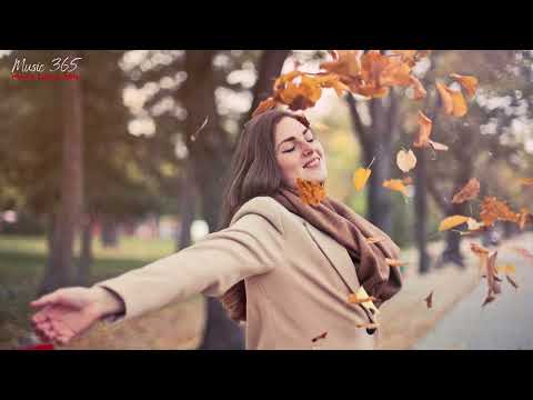 🎧 Best of Cody Francis | Fall 2024 🍂🍁 | Cozy & Relaxing Acoustic Compilation