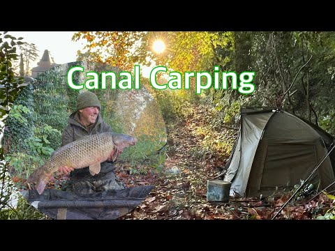 Solitude & Wild Carp 🎣