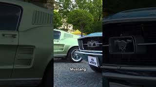 What Does LED ZEPPELIN 'Trampled Underfoot' Mean?