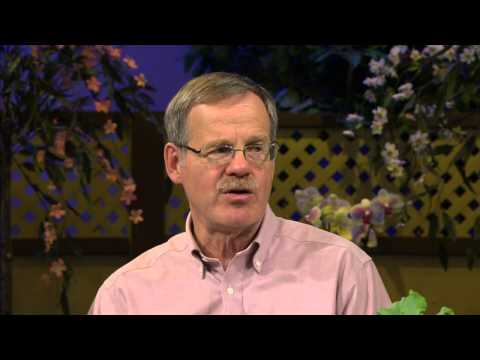 Great Gardening - Handy little Houses: Garden Sheds