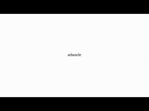 arbuscle PRONUNCIATION