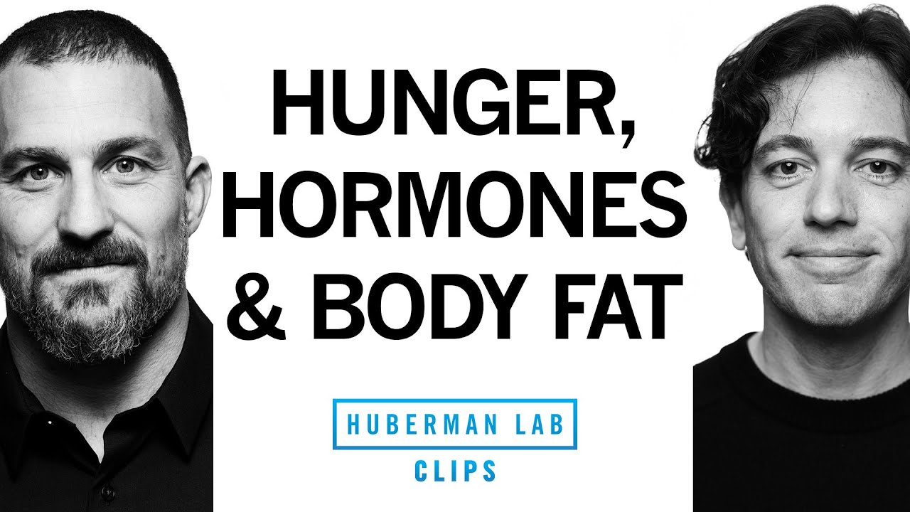 This Hormone Drives Hunger & Body Fat | Dr. Zachary Knight & Dr. Andrew Huberman