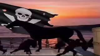 One Piece Hood Irony