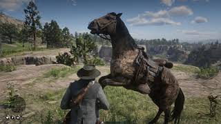 Horse Fight - RDR2 GNU/Linux gameplay