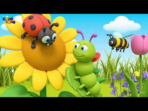 Animals! Mammals, Birds, Reptiles, and More | Educational Children's Video