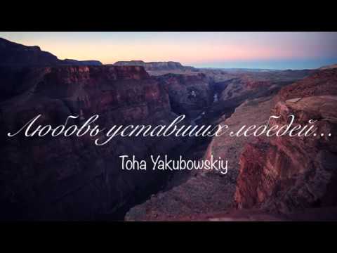Любовь уставших лебедей (DIMASH) - Toha Yakubowskiy