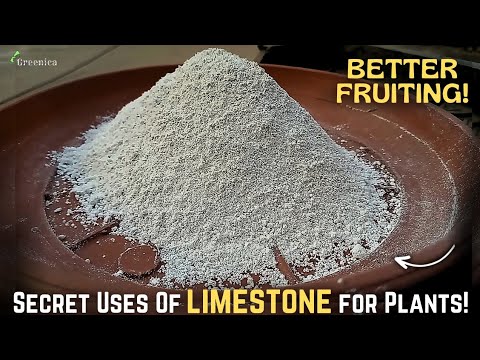 White soap stone powder talc, industrial grade, packaging si...