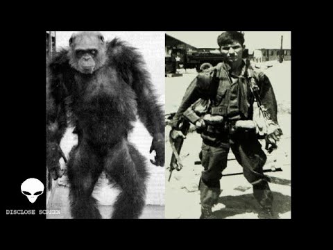 Strange but true stories. No. 2. The Vietnamese Rock Apes.