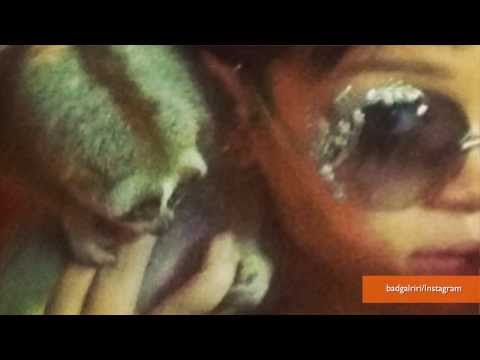 Rihanna's Instagram Selfie With Slow Loris Leads Police to Smugglers