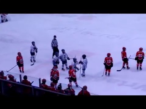 DP HOKEJ U-12  JESENICE : HKMK BLED A   23.1.2016