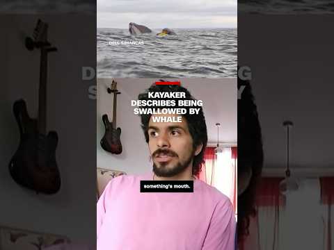 Kayaker describes being swallowed by whale