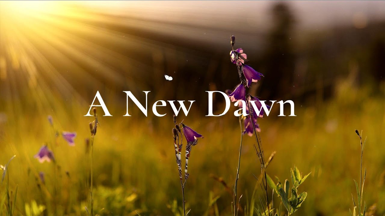 A New Dawn