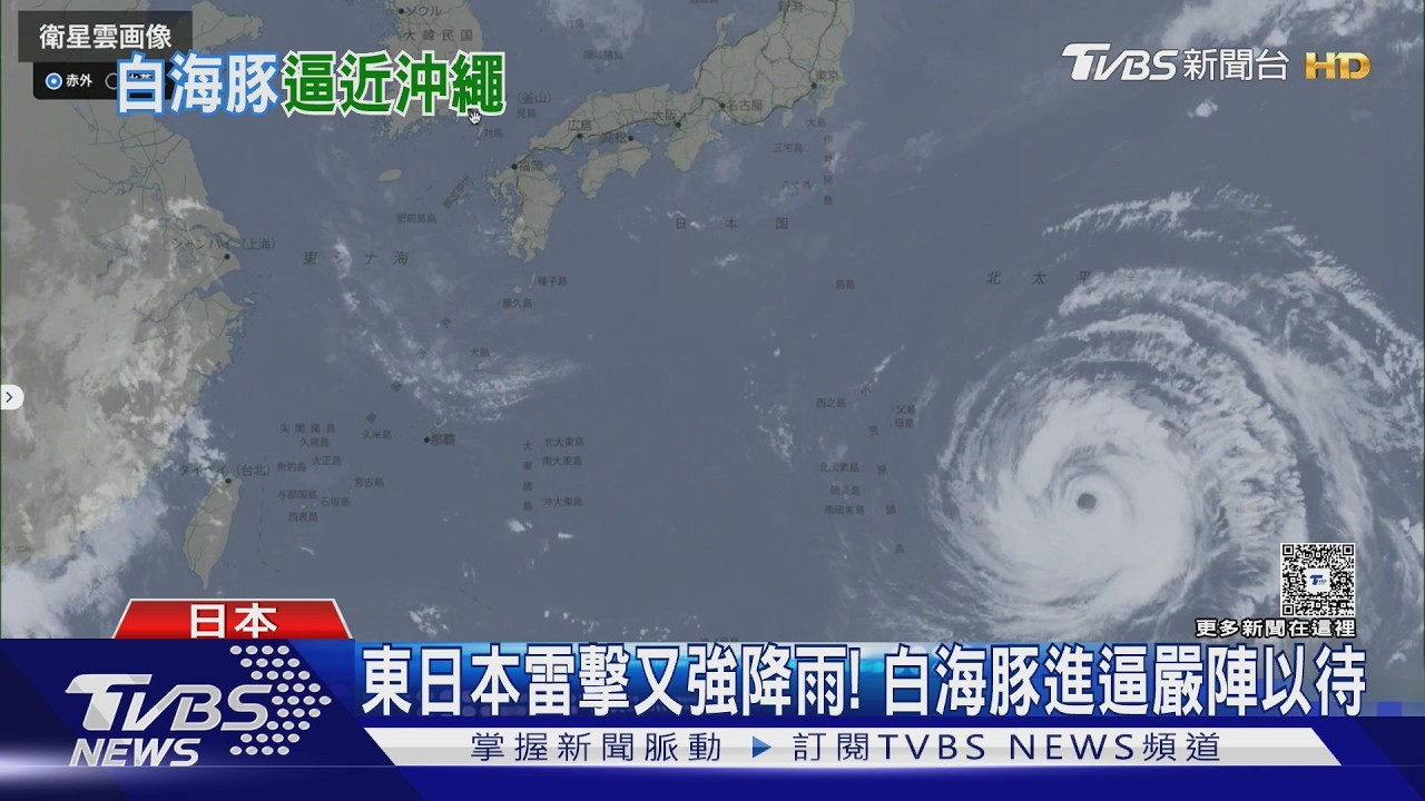 影音/白海豚強勢來襲!日本緊盯 4日起陸續通過小笠原、沖繩