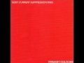 EDDY CURRENT SUPPRESSION RING primary colours [aarght!, goner, 2008]