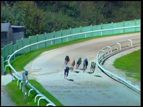 2017 BETFRED ECLIPSE - HEAT 5 - T6 CALICO BLACKJACK