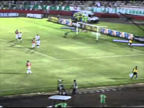 Botafogo 3 x 1 Palmeiras - Melhores Momentos