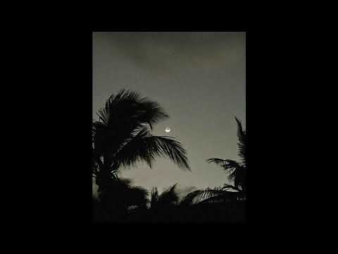 (free) 451 x che ecru x frvrfriday type beat 2022 - moon palace