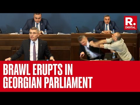 Georgian Parliament Member Punched In The Face By Opposition During A Debate