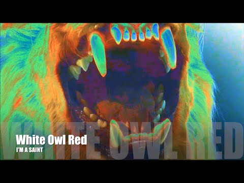 White Owl Red - I'm a Saint (Official Music Video)