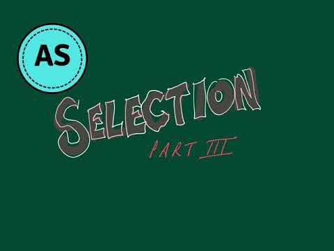 CIE 9608 2.3.3 Selection III - CASE statement