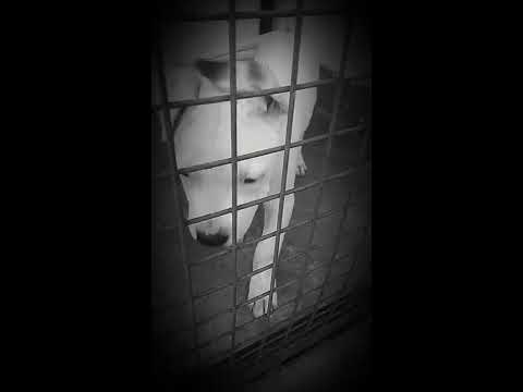 SAB ka baap hai ye🔥