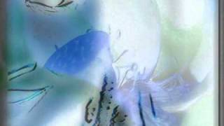 Beautiful Music - Deep Perculator - Slide