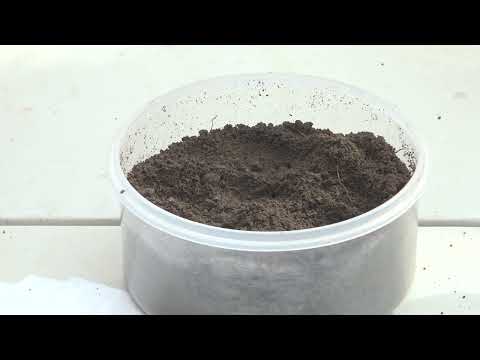 MUJERES CULTIVANDO EL FUTURO YERBAS BUENAS