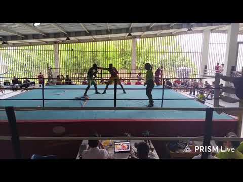 🥊Boxeo Mixtón desde soplaviento - Bolívar  - organiza Chirino promotions